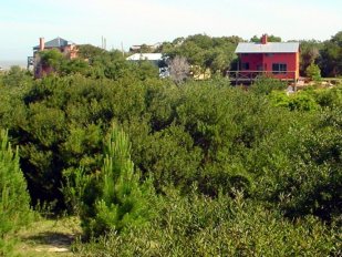 Casa Barrancas de Arachania - Ombu