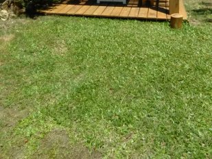 Casa Caraguat&aacute; I