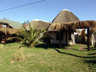 Casa Coco Loco Lodge - Mojito