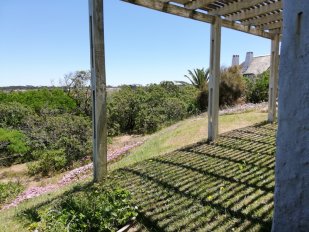 Casa La Casita de mis Viejos