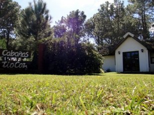 Complejo Caba&ntilde;as del Tio Con