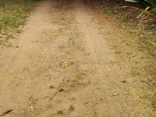 Complejo Caba&ntilde;as Los Botes